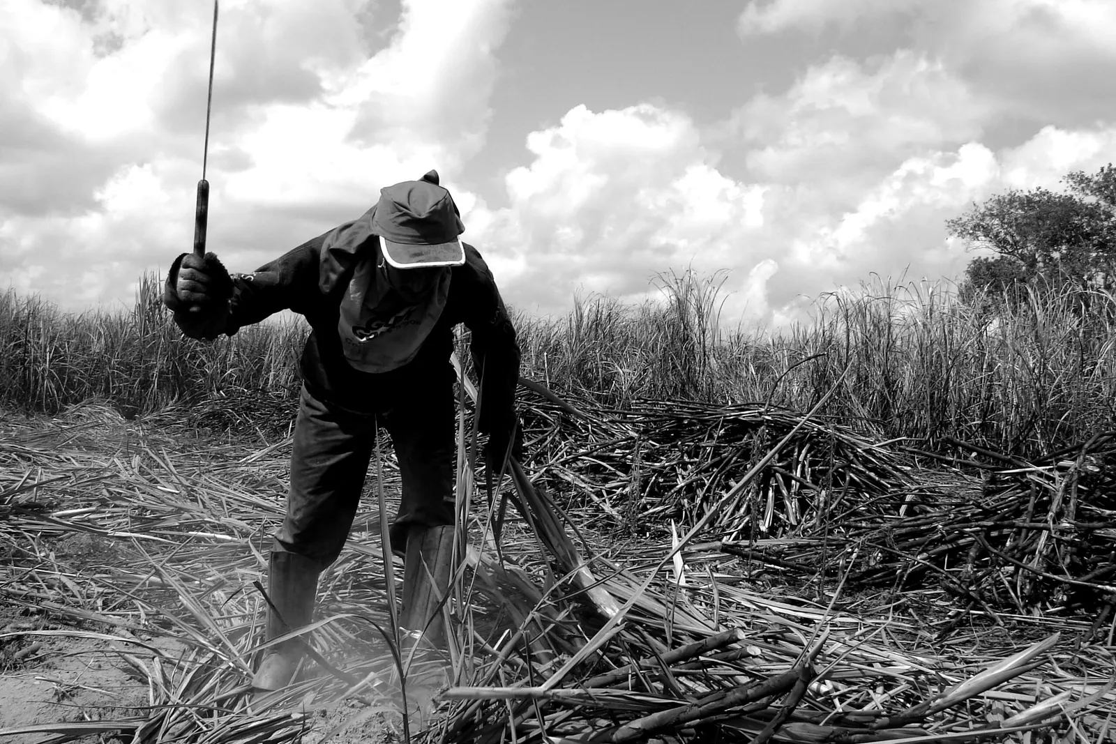 A fé, o trabalho e a escala 6×1: o paradoxo evangélico no Brasil